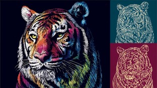 多彩老虎图案设计集合