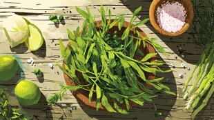 新鲜香草与调味食材组合