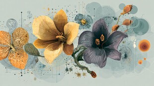 梦幻花卉插画 色彩绚丽