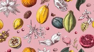 手绘缤纷热带水果图案