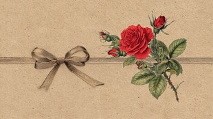 复古玫瑰与丝带装饰画面