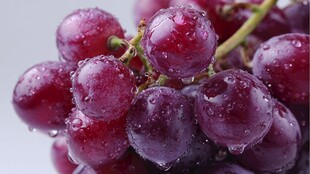 带水珠的紫葡萄特写