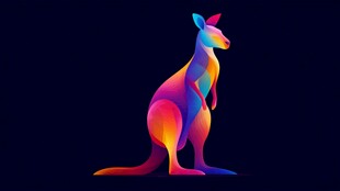 炫彩袋鼠插画