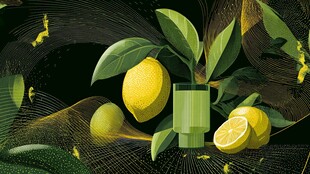 柠檬静物插画 清新绿意