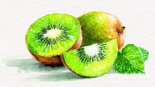 水彩画中的新鲜猕猴桃