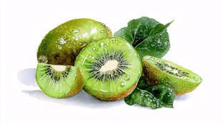 新鲜猕猴桃与翠绿叶片