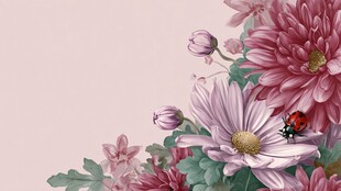 花卉间的瓢虫唯美画面