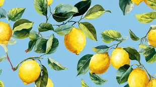 水彩绘柠檬枝叶清新图案