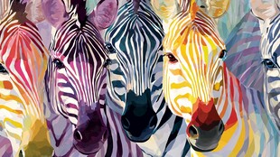 五彩斑斓斑马群艺术画作