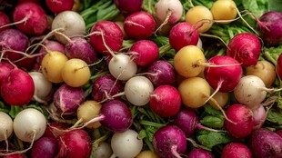 多彩萝卜堆 新鲜又诱人