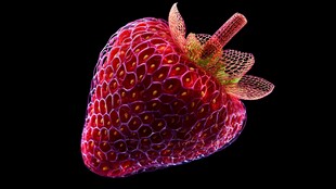 微观视角下的草莓特写