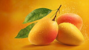 鲜润芒果 尽显自然果香