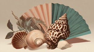 复古贝壳与折扇静物画