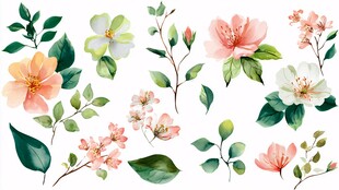 水彩花卉绿植素材集合