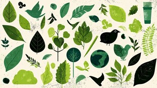 清新绿叶飞鸟自然元素集