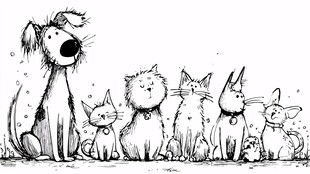 狗狗与猫咪的可爱同框