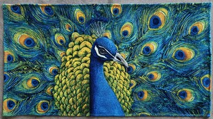 绚丽孔雀艺术画作展示