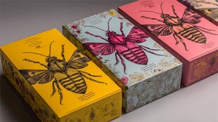 多彩蜜蜂图案精美包装盒