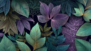 梦幻多彩植物叶片图案