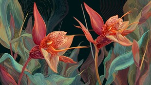 奇幻艳丽的热带花卉图景
