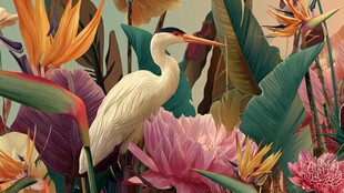 白鹭栖于缤纷热带花卉间