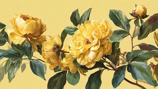 黄色牡丹花枝叶插画