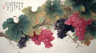 国画葡萄图 硕果累累