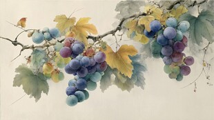 水墨葡萄图 枝蔓果实盈