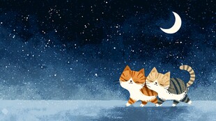 月夜下的双猫漫步