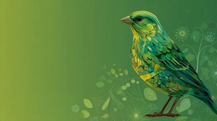 绿色花鸟插画 清新自然风