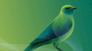 翠绿小鸟独栖梦幻背景