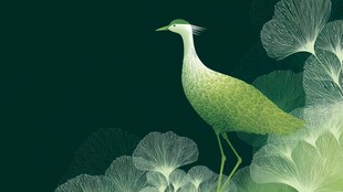 绿羽仙鸟栖于葱茏花叶间