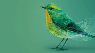 梦幻绿羽小鸟艺术插画