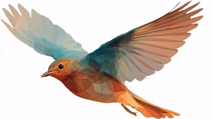 飞翔的多彩低多边形小鸟