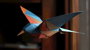 彩色折纸飞鸟灵动造型