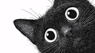 黑猫瞪大眼睛超萌瞬间