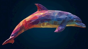 彩色多边形海豚跃动画面