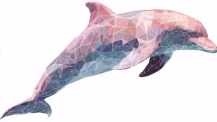 几何风跳跃海豚插画