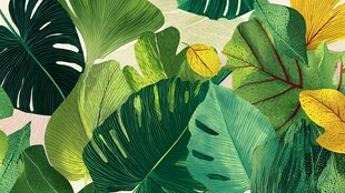 热带风情绿叶插画背景图