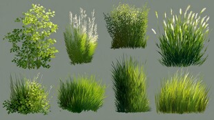 多样绿植素材集合