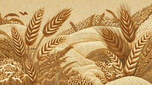 金色麦田插画 尽显丰收之美