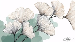 银杏叶插画 清新自然风