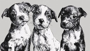 三只萌态小狗黑白插画