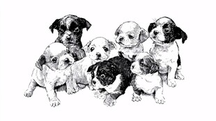 一群可爱幼犬的黑白插画