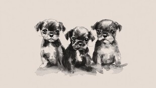 三只萌态小狗的水墨画