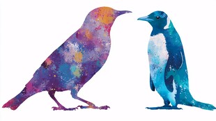 彩色鸟与企鹅的趣味邂逅