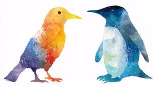 水彩风小鸟与企鹅同框