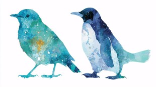 水彩风小鸟与企鹅插画
