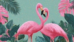 浪漫火烈鸟与热带植物景观