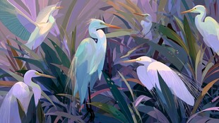 鹭群栖于繁茂植物间